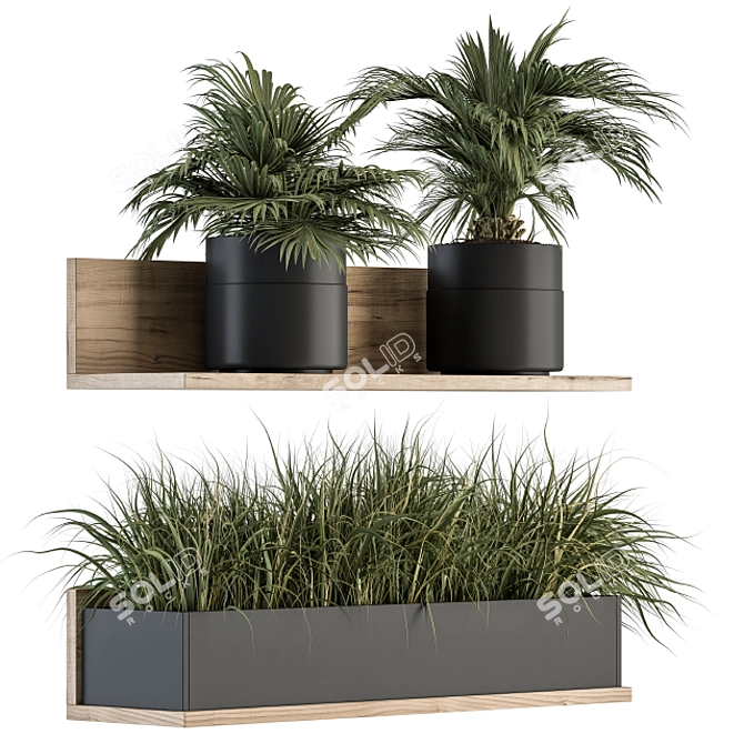 293 Indoor Plant Set 3D model image 2