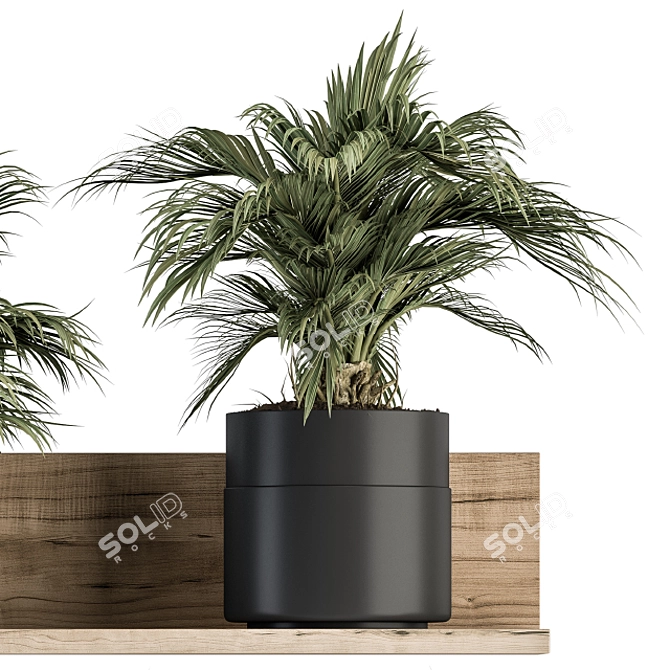 293 Indoor Plant Set 3D model image 3