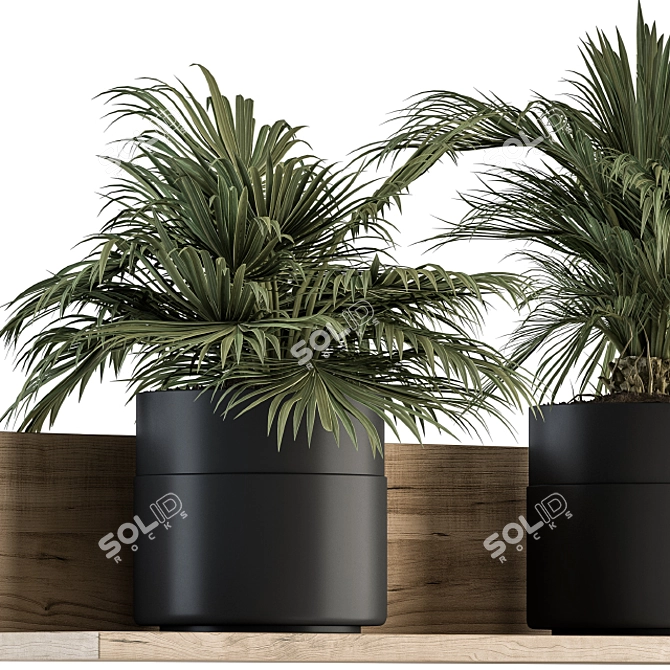 293 Indoor Plant Set 3D model image 4