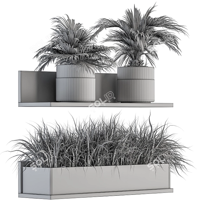 293 Indoor Plant Set 3D model image 5