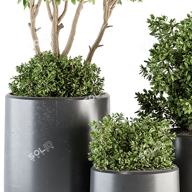 Lush Indoor Plant Set: Tree & Bush 3D model image 3