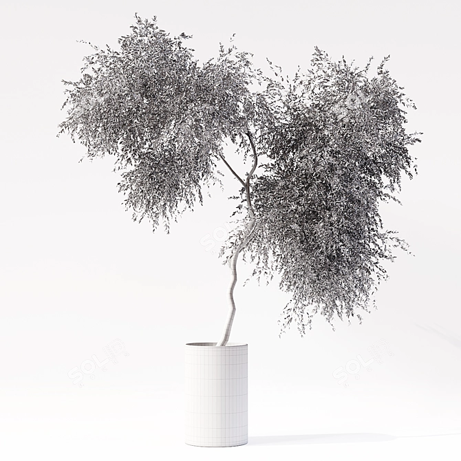 Lush Interior Foliage: Indoor Plant 014 3D model image 3