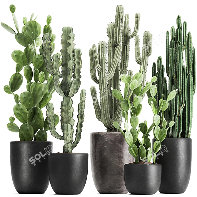 Exotic Cactus Collection: Column, Saguaro, Cereus 3D model image 1