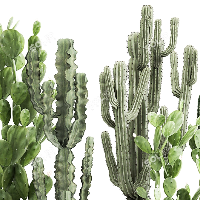 Exotic Cactus Collection: Column, Saguaro, Cereus 3D model image 4