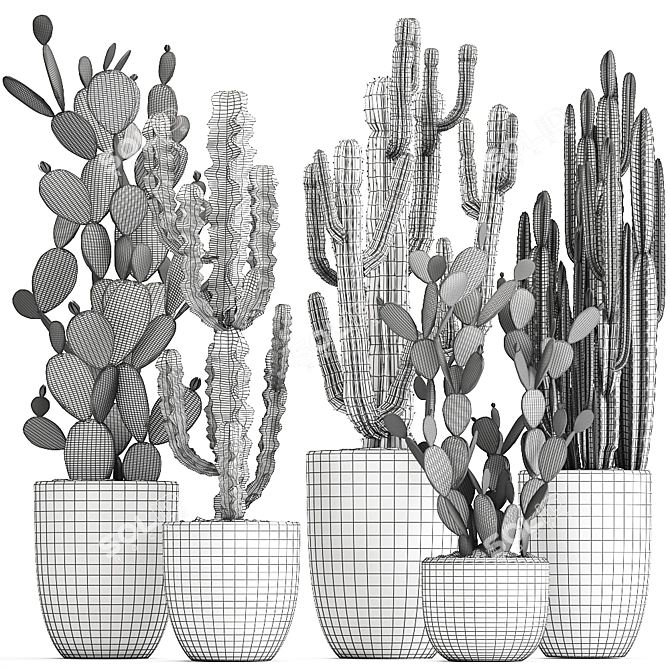 Exotic Cactus Collection: Column, Saguaro, Cereus 3D model image 7