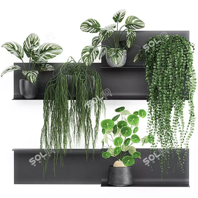 Vertical Garden Shelf Kit: Exotic Plants & Succulents 3D model image 1