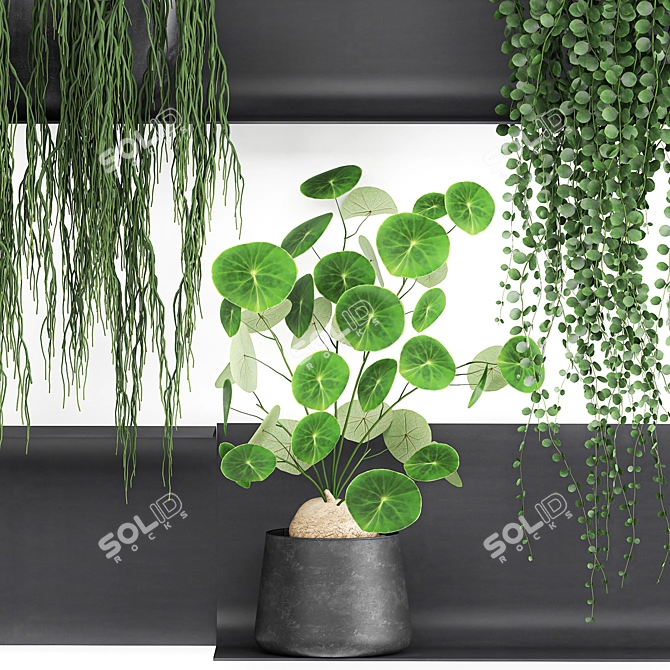 Vertical Garden Shelf Kit: Exotic Plants & Succulents 3D model image 3