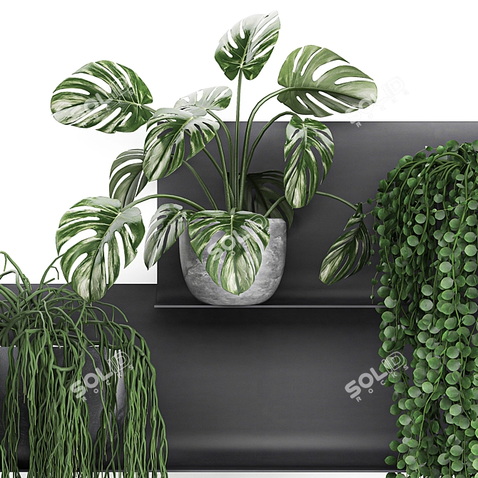 Vertical Garden Shelf Kit: Exotic Plants & Succulents 3D model image 4