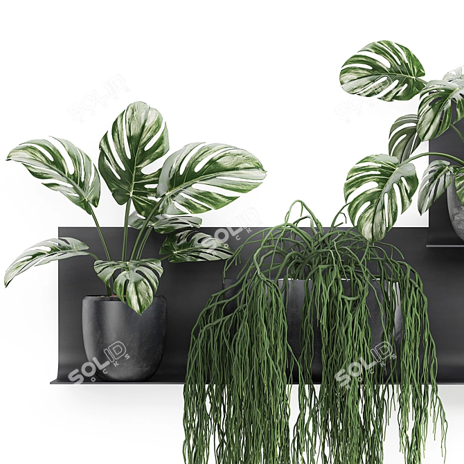 Vertical Garden Shelf Kit: Exotic Plants & Succulents 3D model image 5