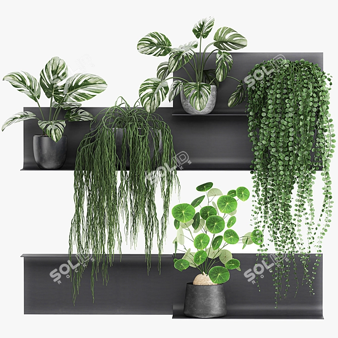 Vertical Garden Shelf Kit: Exotic Plants & Succulents 3D model image 6