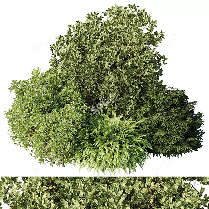 Diverse Bush Set 01: Corona 3D model image 1