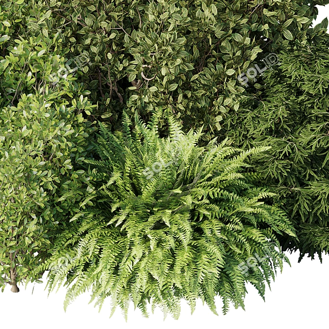 Diverse Bush Set 01: Corona 3D model image 3