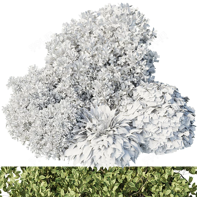 Diverse Bush Set 01: Corona 3D model image 5