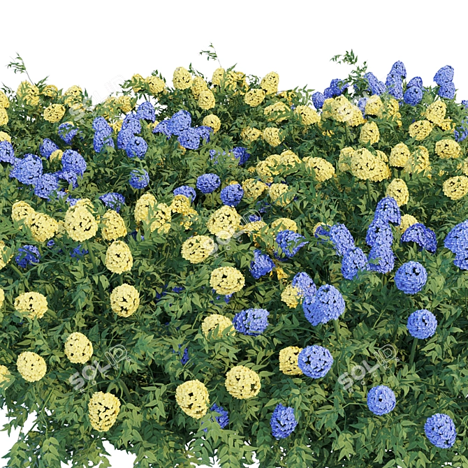 Flowering Bushes Collection Vol. 43: Beautiful and Realistic 3D model image 4