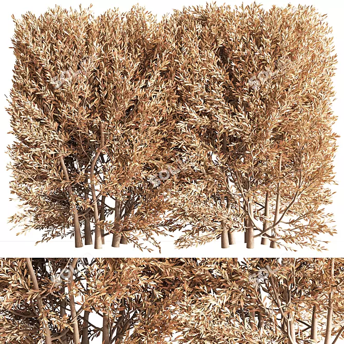 Autumn Leaves: Push02 - 2015 3D Model 3D model image 2