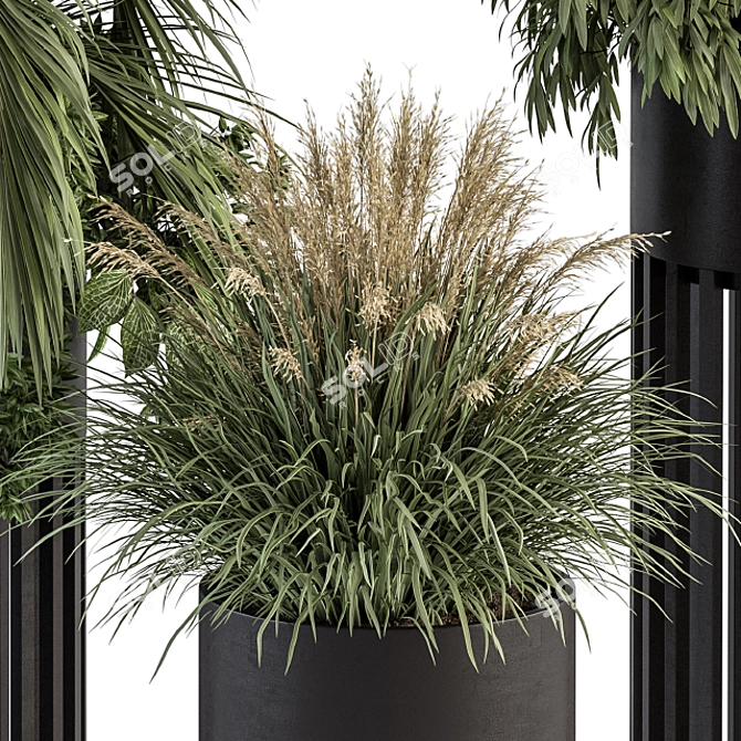 Black Pot Plant Set - Indoor Plant Set with Round Stand 3D model image 2