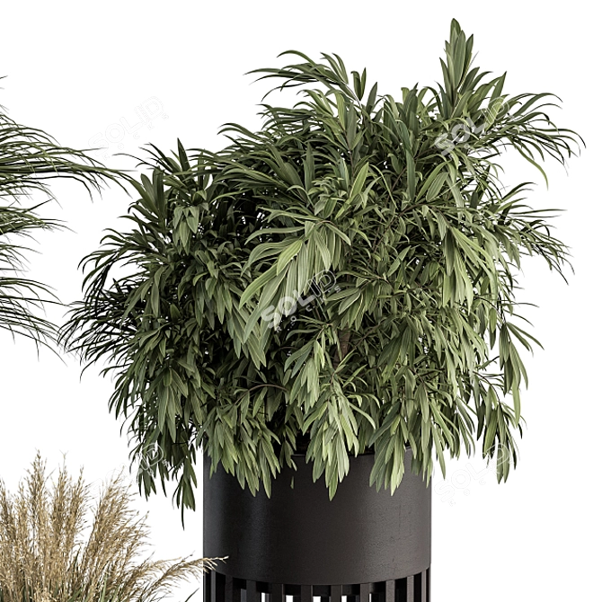 Black Pot Plant Set - Indoor Plant Set with Round Stand 3D model image 3