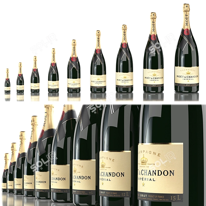 Moët & Chandon Champagne: All Sizes, Premium Quality 3D model image 1