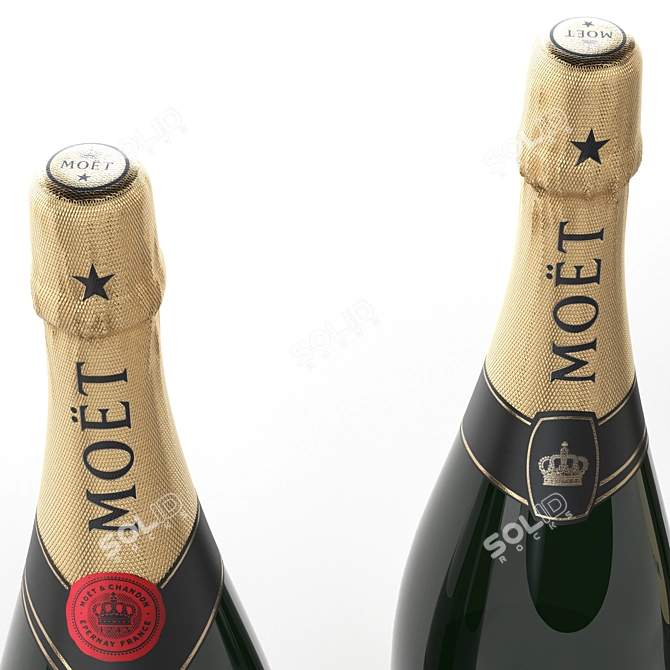 Moët & Chandon Champagne: All Sizes, Premium Quality 3D model image 3