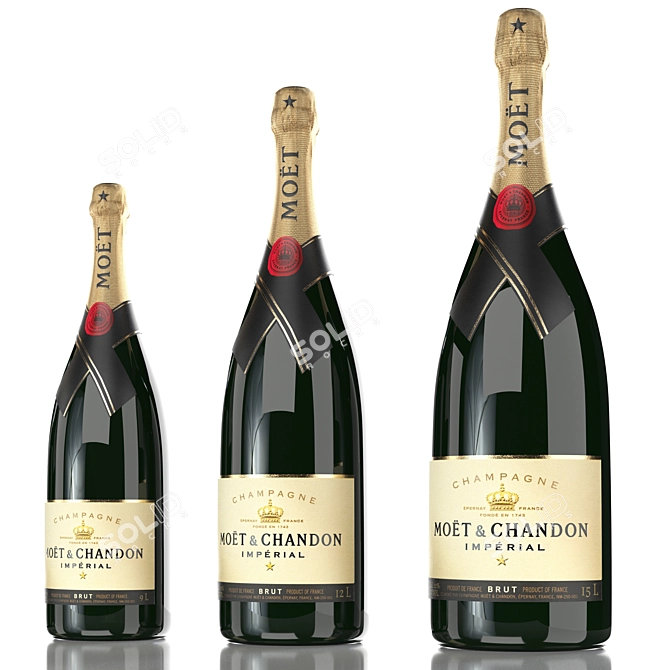 Moët & Chandon Champagne: All Sizes, Premium Quality 3D model image 4