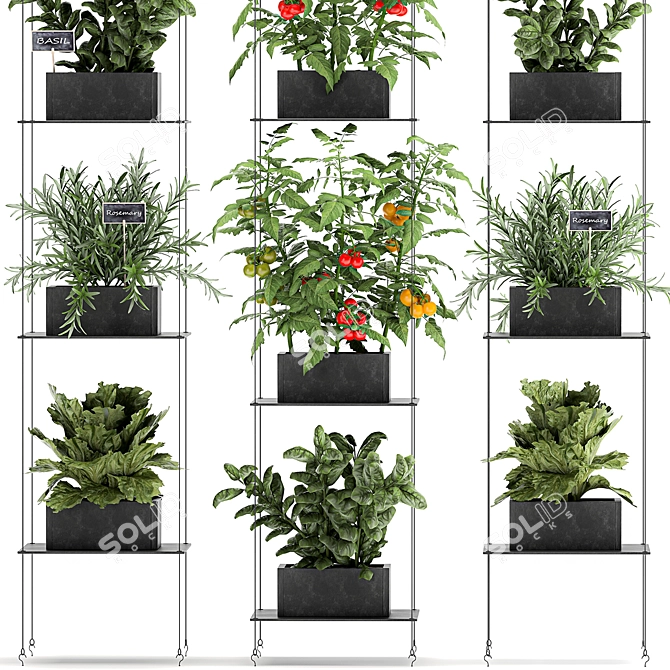 Vertical Greenery: Kitchen Garden & Exotic Plants 3D model image 4