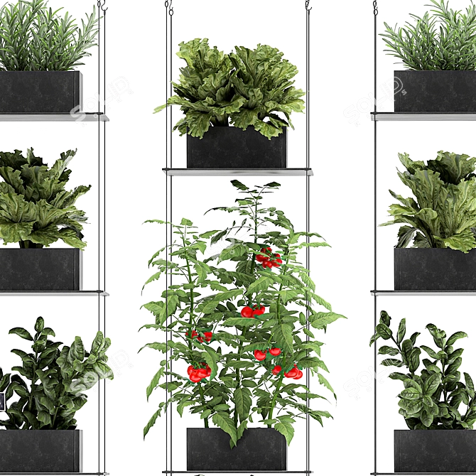 Vertical Greenery: Kitchen Garden & Exotic Plants 3D model image 5