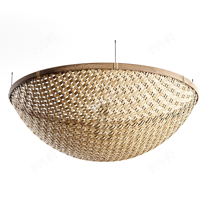 Rustic Rattan Pendant Lights 3D model image 2