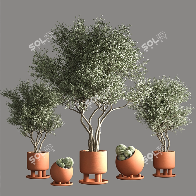 Green Oasis Indoor Plant Set 3D model image 1