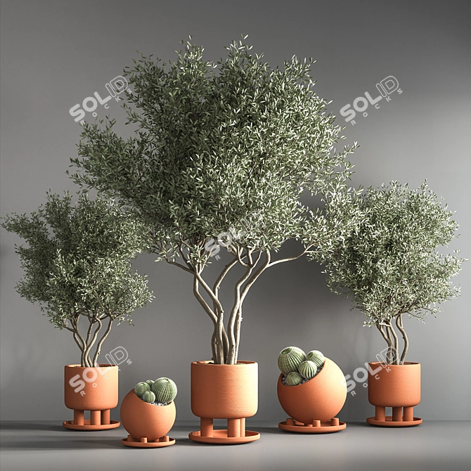 Green Oasis Indoor Plant Set 3D model image 2