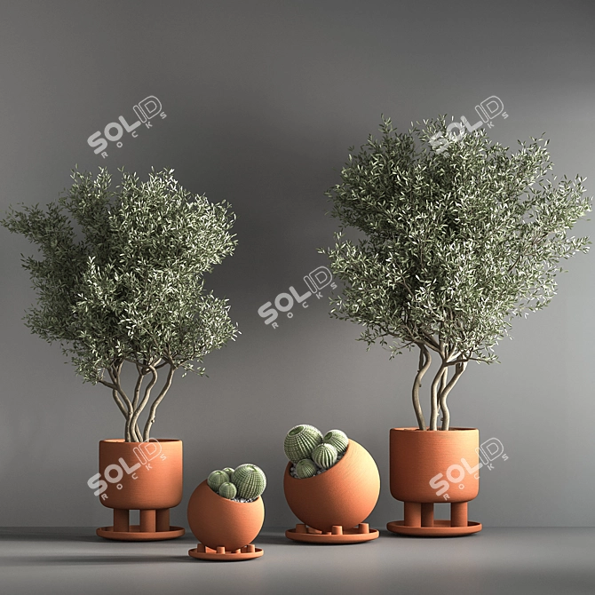 Green Oasis Indoor Plant Set 3D model image 3
