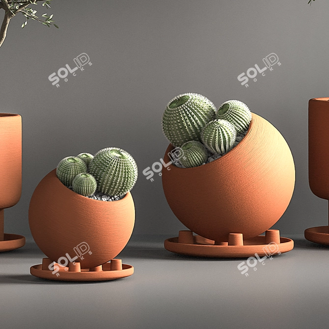 Green Oasis Indoor Plant Set 3D model image 5