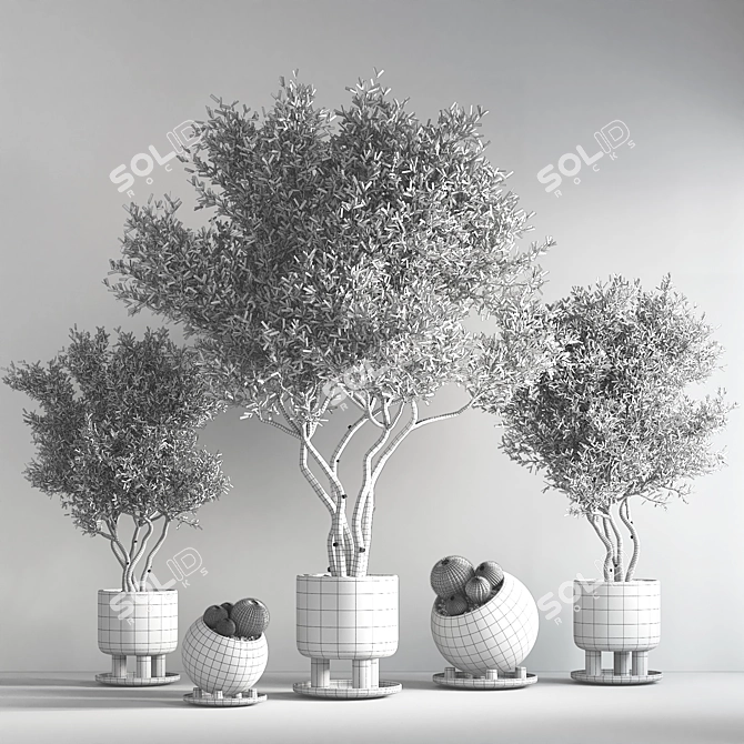 Green Oasis Indoor Plant Set 3D model image 6