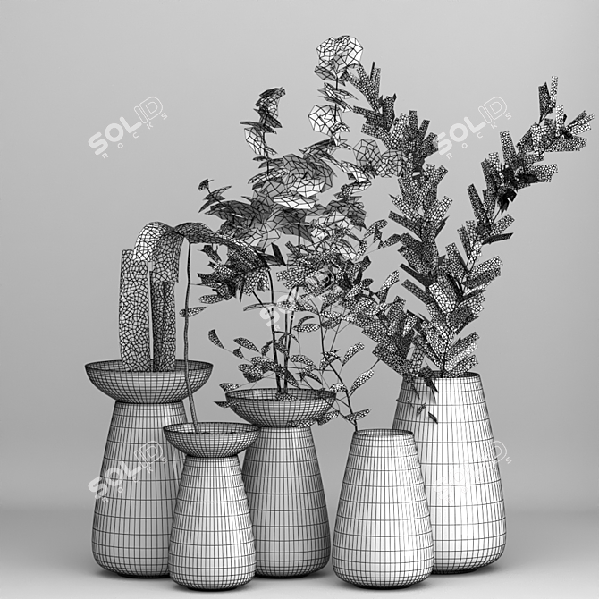 Indoor Plant Bouquet Set 3D model image 2