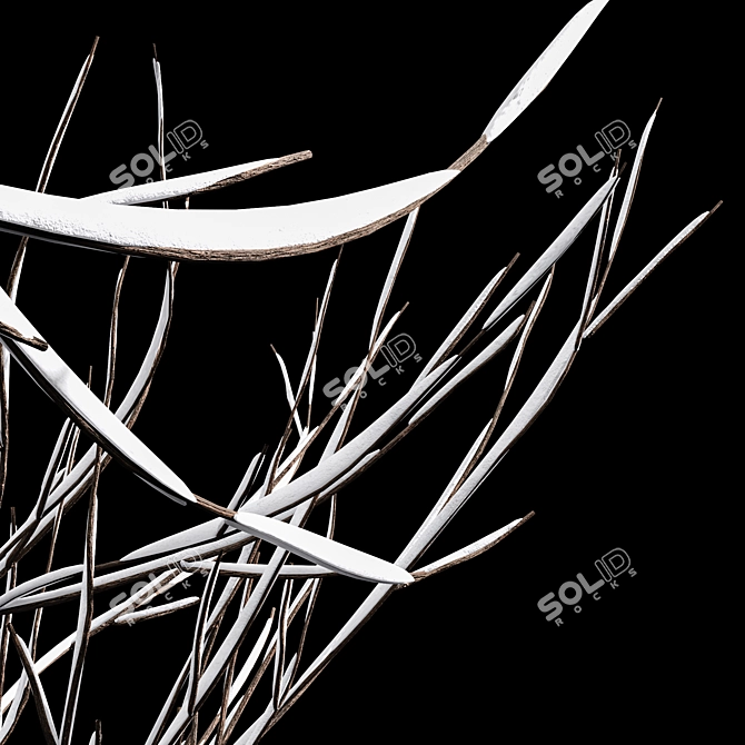 Winter Glow: Real Tree Acer 3D model image 4