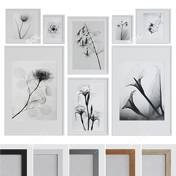 Botanical X-Ray Frame Set 3D model image 1