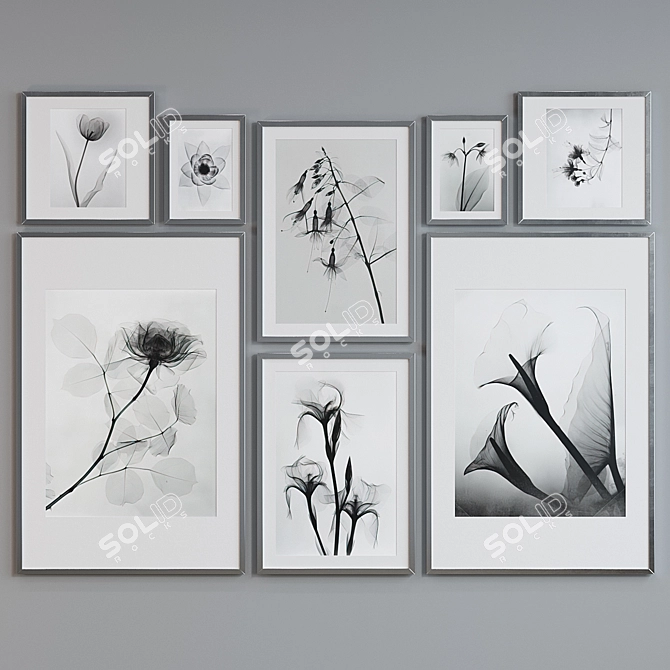 Botanical X-Ray Frame Set 3D model image 3