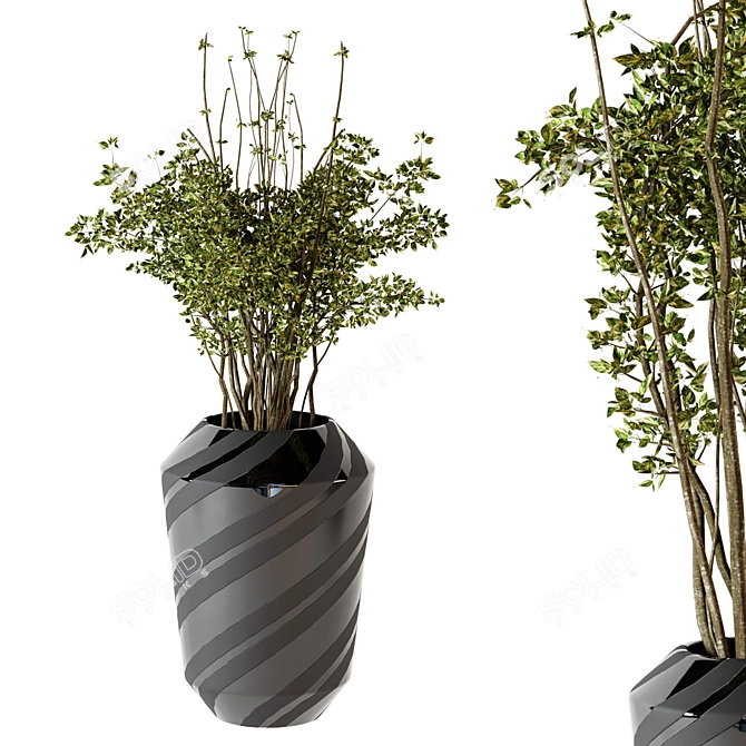  2017 MAX Indoor Plants - Plastic Potted Greenery 3D model image 2