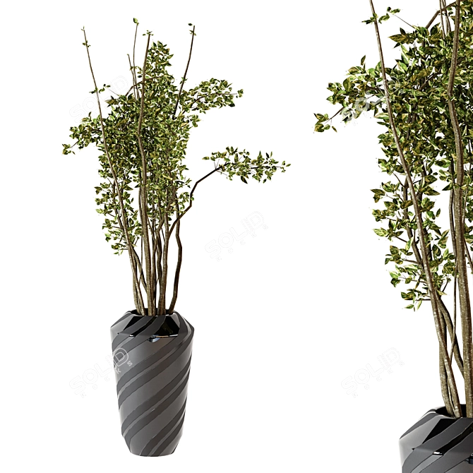  2017 MAX Indoor Plants - Plastic Potted Greenery 3D model image 3