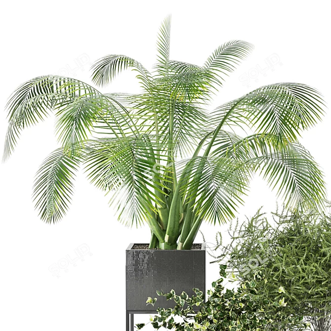 2015 Indoor Plants Set: V-Ray/Corona 3D model image 4