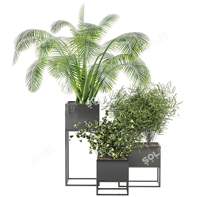 2015 Indoor Plants Set: V-Ray/Corona 3D model image 6