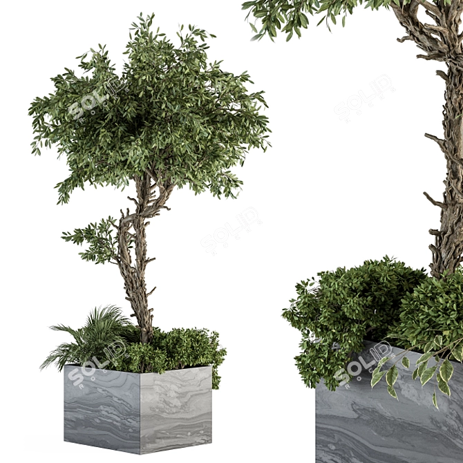 Stone Box Garden: Outdoor Plant Set 3D model image 1