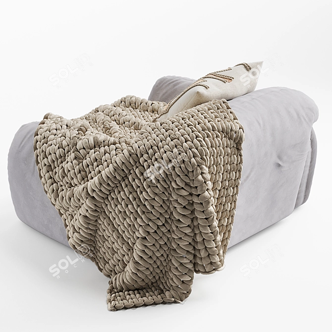 Elegant Busnelli PIUMOTTO Armchair 3D model image 6