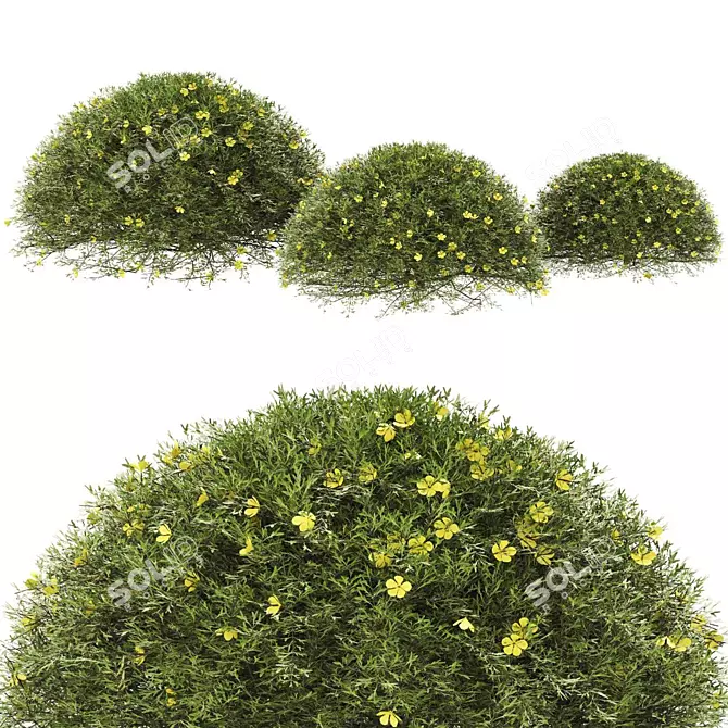 Premium Plant Collection: High Quality & Optimal 3D model image 1