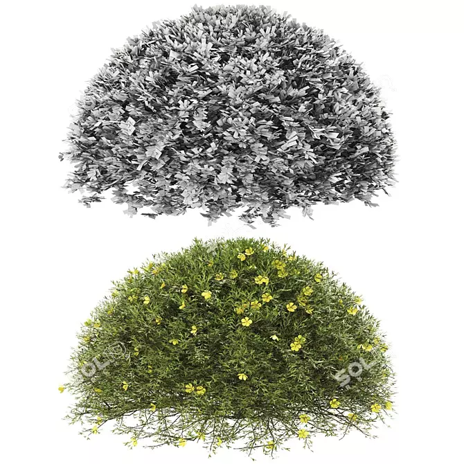 Premium Plant Collection: High Quality & Optimal 3D model image 2