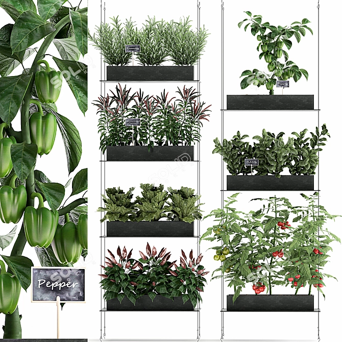 Vertical Veggie Wall: Fresh Kitchen Garden 3D Model - SolidRocks.net - Veggie Wall Benefits