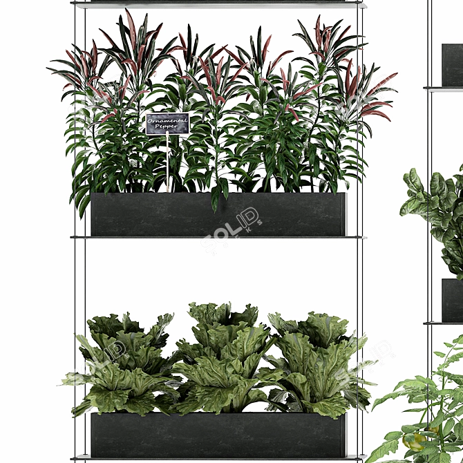 Vertical Veggie Wall: Fresh Kitchen Garden 3D model image 2