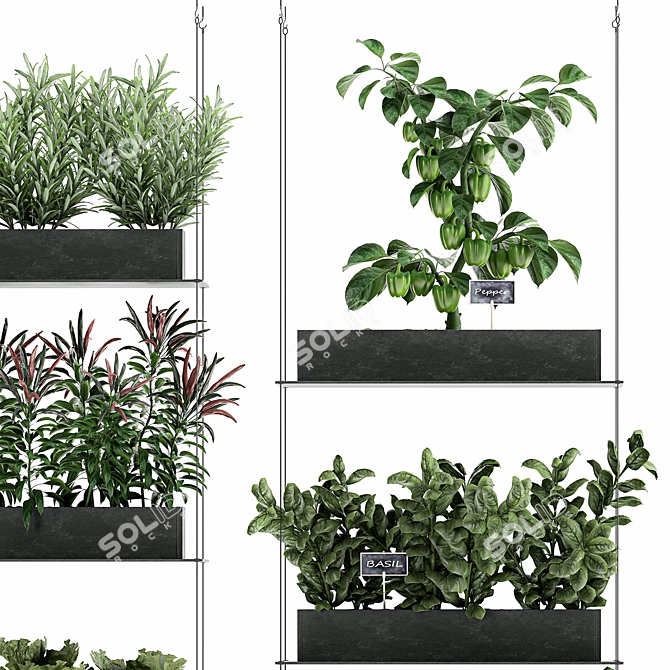 Vertical Veggie Wall: Fresh Kitchen Garden 3D model image 3