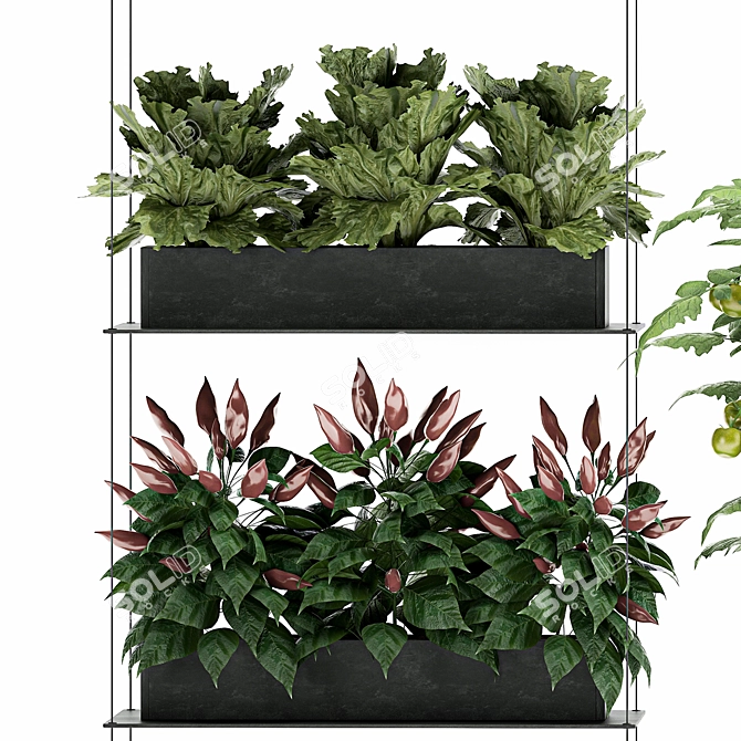 Vertical Veggie Wall: Fresh Kitchen Garden 3D model image 4