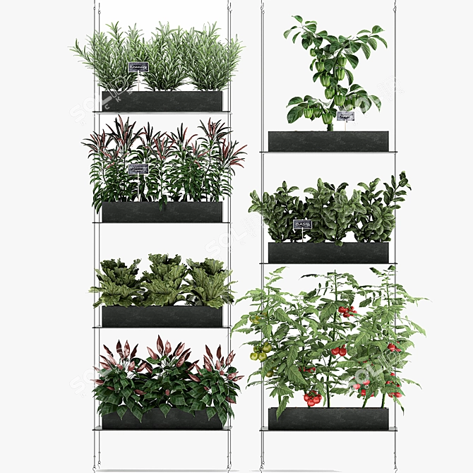 Vertical Veggie Wall: Fresh Kitchen Garden 3D model image 6