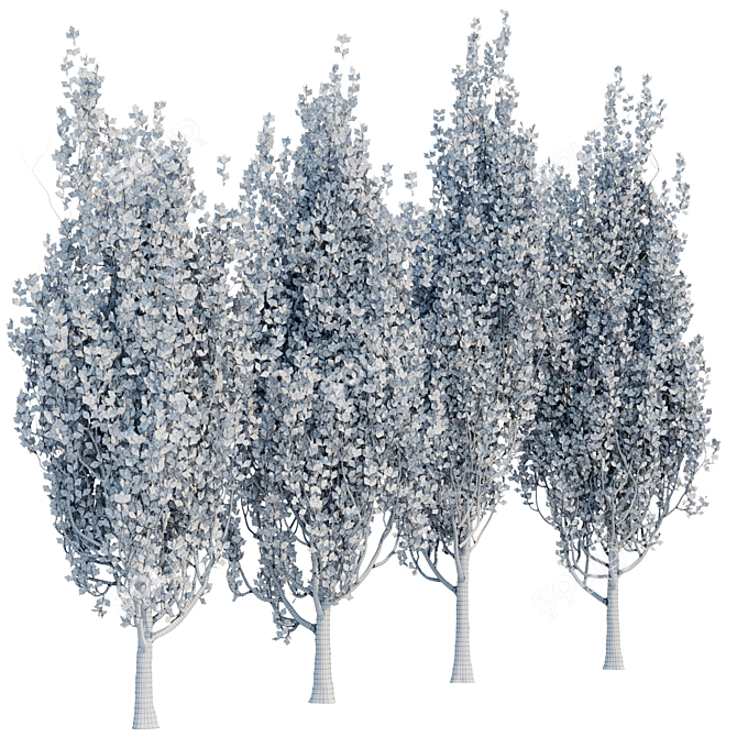 Poplar Trees Collection - Vol. 44: Stunning Diversity & Realistic Details 3D model image 4